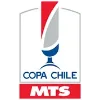 Chilean Cup