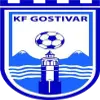 FK Rinija Gostivar