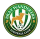 Bray Wanderers