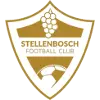 Stellenbosch FC Reserves