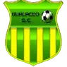 /image-webp/football/team/3dfa700c1f084e5a18fc926d6f7ae427.webp