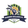 Marumo Gallants Reserves