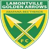 Golden Arrows Reserves