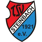 TSV Steinbach II