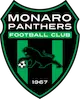 Monaro Panthers