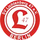 Lichtenberg 47