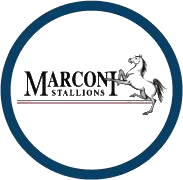 Marconi Stallions