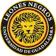 Leones Negros