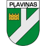 Plavinas DM