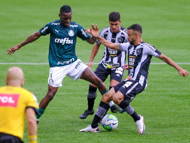 Soi kèo Palmeiras vs Botafogo RJ, 02h00 ngày 26/6/2023	