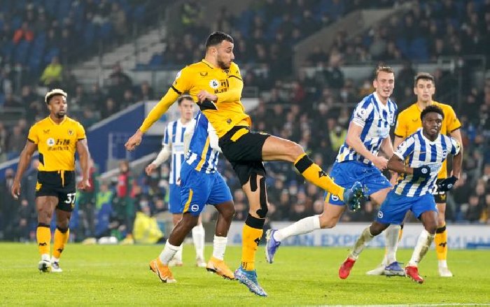 Soi kèo Brighton vs Wolves, 21h00 ngày 29/04/2023 